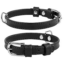 Нашийник для собак  дрібних порід GLAMOUR  без прикрас з натуральної шкіри шкіри