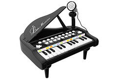 Музичні іграшки