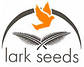 Мавр F1 250 шт Lark Seeds Індетермінантний Томат Насіння (Індетермінантний Томат Насіння), фото 4