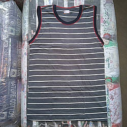 Чоловіча безрукавка смужка (сіра)