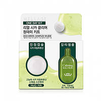 Капсула з центелою Wellage Real Cica Clear One Day Kit