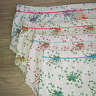 Труси жіночі бавовна стрейч батал Букет Польща, фото 2