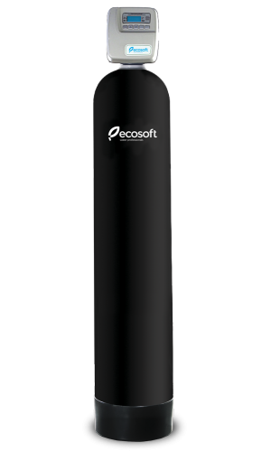 Фільтр для видалення хлору Ecosoft FPA 1665 CT (FPA1665CT)