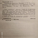 Психологія мистецтва Виготський Л. С., фото 6
