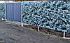 Розпродаж бляхи для паркану, стін та даху в наявності 0.25 уцінка, фото 6