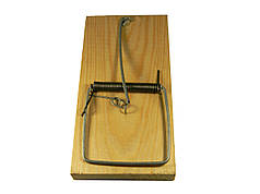 Пастка для щурів дерев’яна