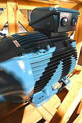 Двигун WEG W22