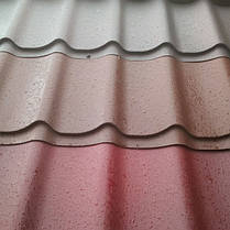 Металочерепиця Термастіл - Антіб - 0,5 мм / RAL 8017 / MAT, фото 2