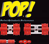 Універсальний гвинт на верхню щелепу (Новинка) Leone (Леоне) А4800-12, фото 2