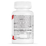 Вітаміни Цинк, магній, вітамін В6 OstroVit MgZb6 (ZMA) 90 таб, фото 3