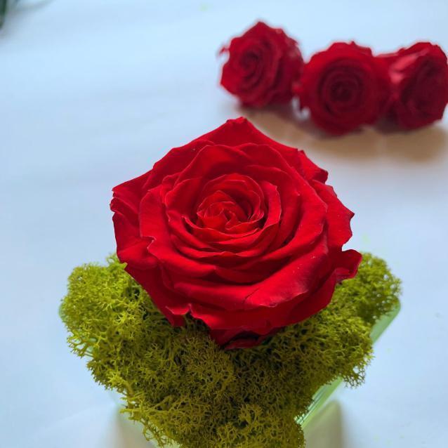 Стабілізована троянда червона 5-5,5 * 5-5,5 см, упаковка 6 шт, фото 1