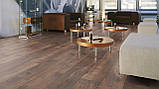Ламінат Дуб Петерсон Темний, фото 3