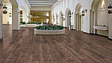 Ламінат Дуб Петерсон Темний, фото 4