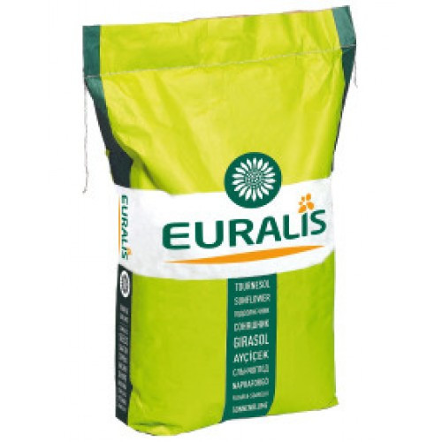 Насіння соняшника ЄС Регата, фото 1