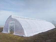 Фермерські теплиці митлайдер шириною 8м