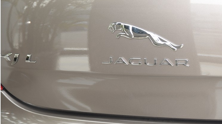 Напис Jaguar на кришку багажника 15 мм.