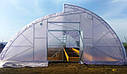 Фермерська теплиця Міттлайдер — 8х40, фото 2