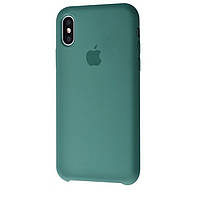 Чехол Silicone Case iPhone X/Xs pine green