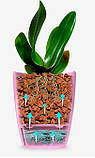Вазон пластиковий Santino Орхідея TWIN 2 л Лаванда, фото 10