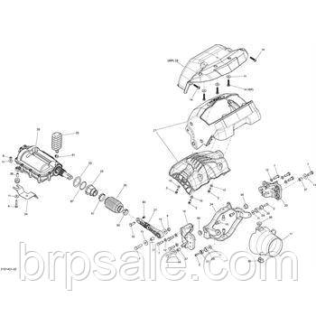Прямий підшипник Sea-Doo BRP PLAIN BEARING, фото 1