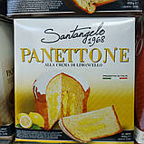 Італійський кекс паска Панеттоне Santangelo шоколадний крем 908гр, фото 2