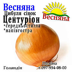 Цибулю севок весняний Центуріон, Голландія, 1 кг