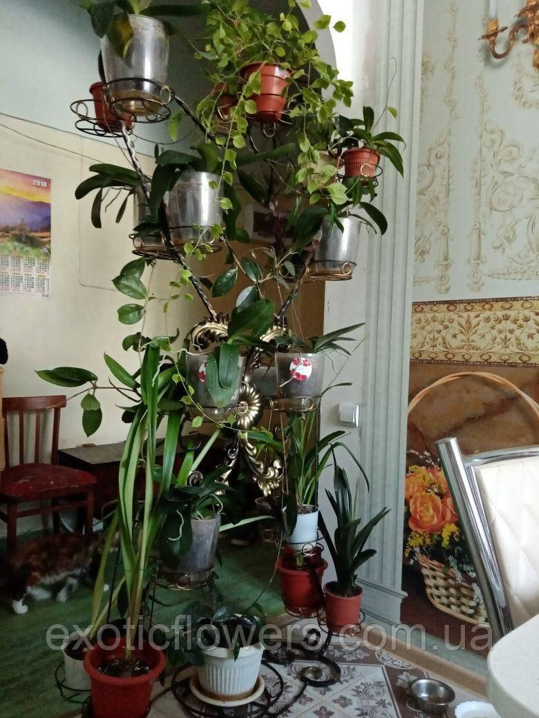 Підставка для квітів на 22 чаші