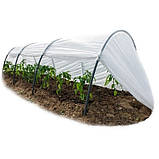 Парник "Агро-Лідер" 12 м. 42 пл., фото 4
