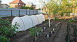 Парник "Агро-Лідер" 12 м. 42 пл., фото 2