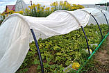 Парник "Агро-Лідер" 12 м. 42 пл., фото 10