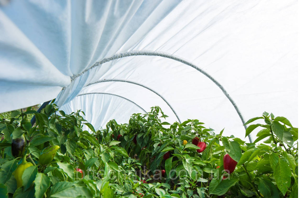 Парник "Агро-Лідер" 12 м. 42 пл., фото 1