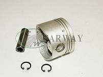Поршні Sens 1.4 d.77.50 + пальци PX-SEN-4F-4126-000 AMP