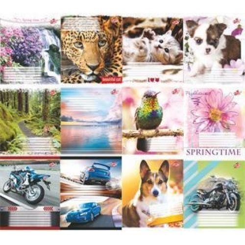 Зошит 60арк клітинка БРІСК (картон) (15/180), фото 1