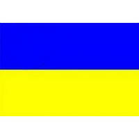 Прапор України 0,60х0,9 (нейлон/болонія)