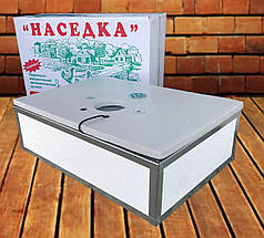 Інкубатор для яєць Насідка ДБ 70 з ручним переворотом, аналоговий терморегулятор