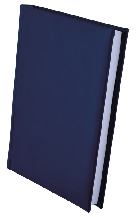 Діловий щоденник недатований BM.2008-02 BASE(Miradur), A5, 288стр. синій (5)
