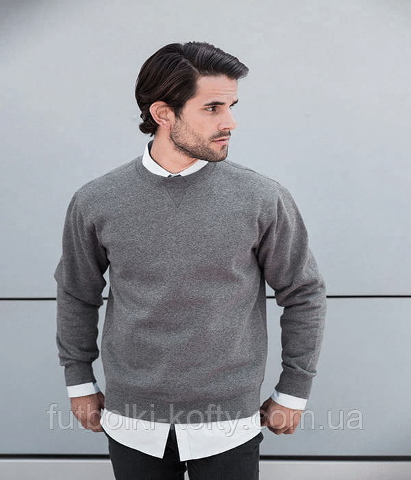 Чоловічий світшот реглан Premium Authentic, бавовна, фото 1
