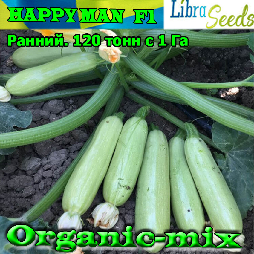 Кабачок Хеппі Мен F1/HAPPY MAN F1 високопродуктивний, ранній, 1000 насіння, ТМ Libra Seeds