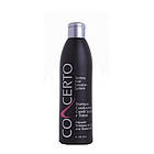 Шампунь для волосся Concerto Dry and Treated Hair Adjuvant Shampoo 250 мл