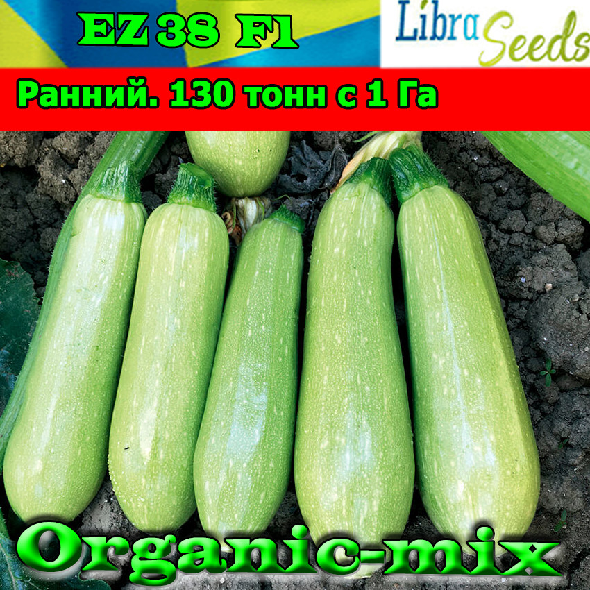 Кабачок EZ 38 F1 високоурожайний, ранній, 1000 насіння, ТМ Libra Seeds
