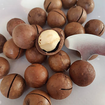 Горіх макадамія в шкаралупі 500 грам