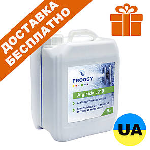 Альгіцид Froggy L210, 5 л. Альгекс рідина від водоростей, проти зелені, від цвітіння. Хімія для басейну