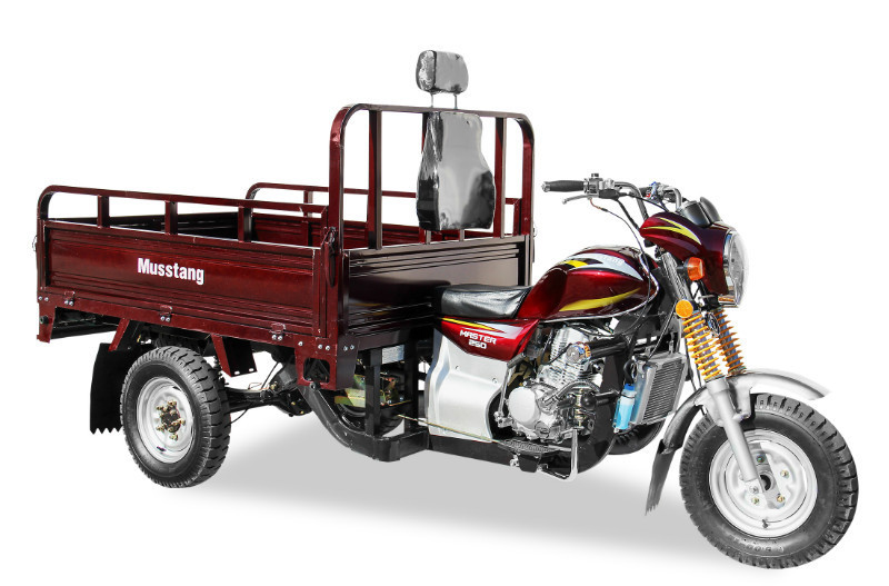 Китайський вантажний мотоцикл Musstang MT200ZH-4V