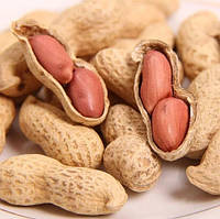 Орехи арахис в скорлупе 500 гр
