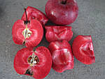 Саджанці яблунь Байя Маріса (Байя Мариса, Baya Marisa) (червона м'якоть, красная мякоть)