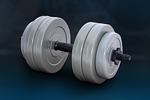 Гантель RN-Sport (Gray) — 13 кг з ABS-покриттям
