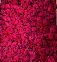 Стабілізований мох скандинавський мох ягель Fuchsia 4 кг