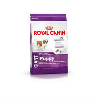 Сухой корм Royal Canin Giant Puppy Роял канин Гигант Паппи для щенков от 2 до 8 мес 15 кг 1