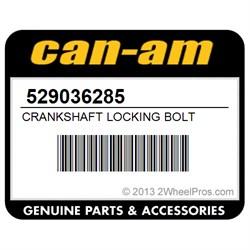 Болт коленчатого вала Can-Am BRP CRANKSHAFT LOCKING BOLT - фото 1 - id-p736961844