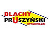 Профнастил Т - 150  У ( 0,7 мм) Прушинськи «Blachy Pruszynski ®» Несний, фото 11
